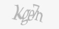 Защитный код